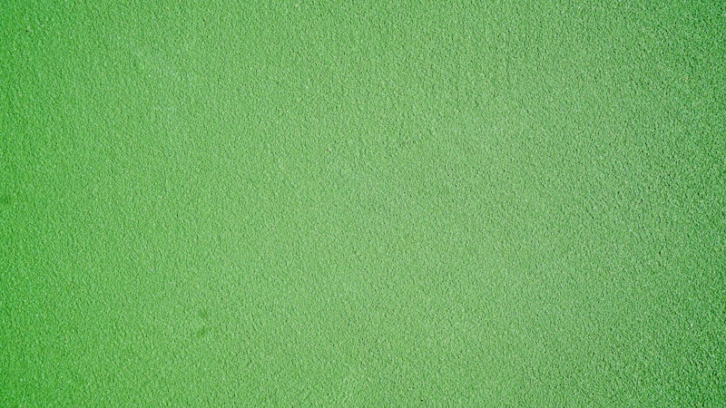 Frisch gestrichene grüne Wand – glatte Oberfläche